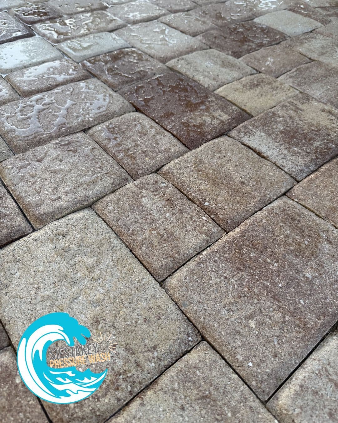 Pool Deck Pavers Cleaned and Sealed the Right Way image