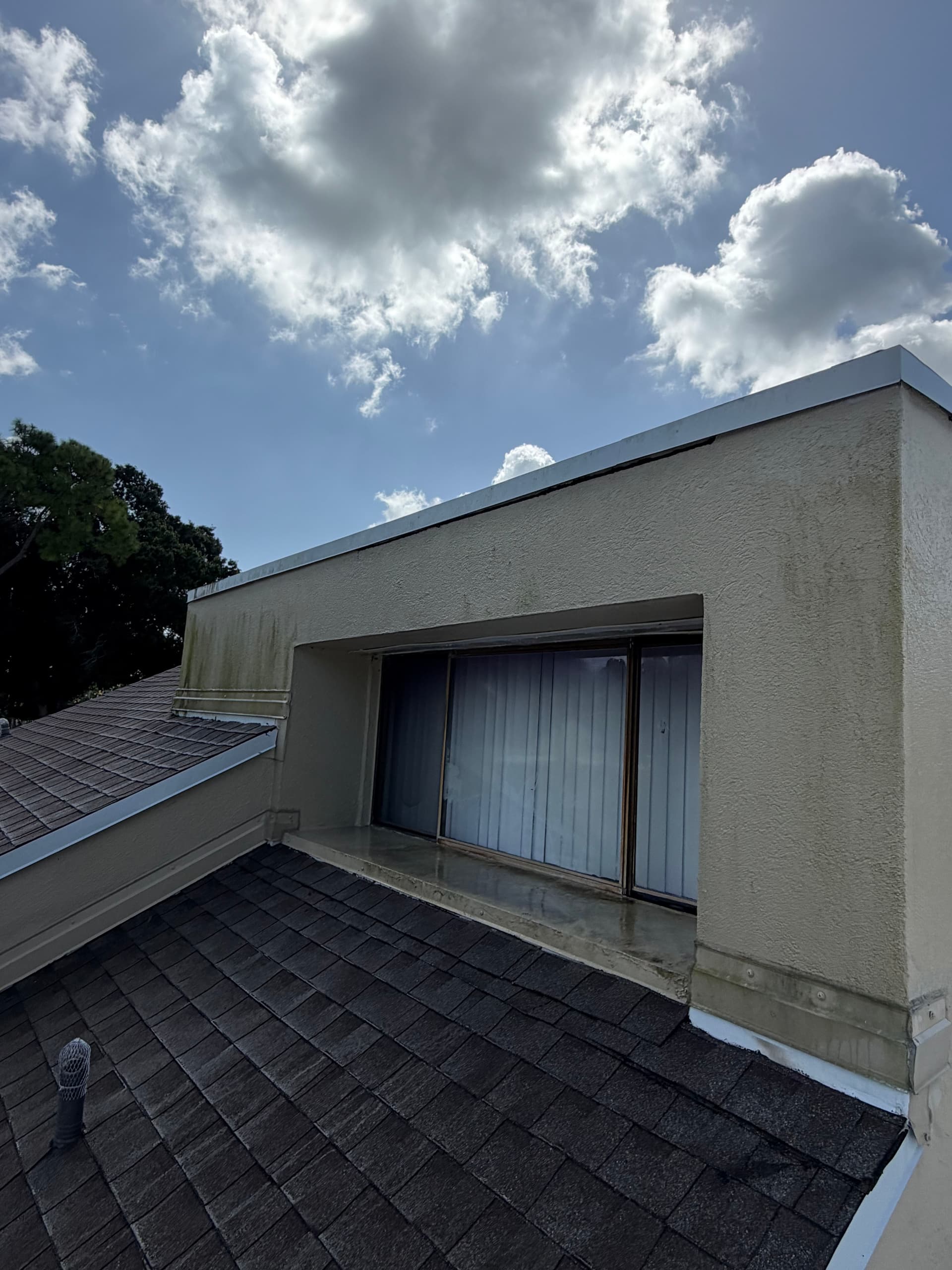 Algae on Your Exterior Doesn't Stand a Chance