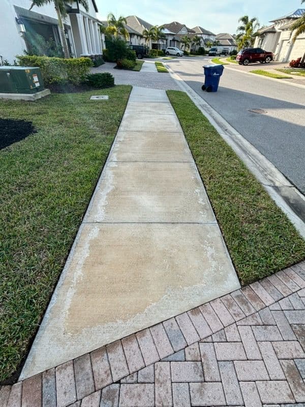 Project Renewed Sidewalks with Professional Pressure Washing image