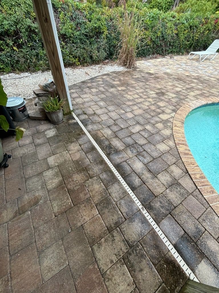 Gallery photos for Say Goodbye to Patio Algae for Good: Image #1