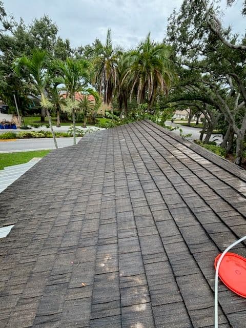 Project Restore Roof Brilliance with Soft Washing image