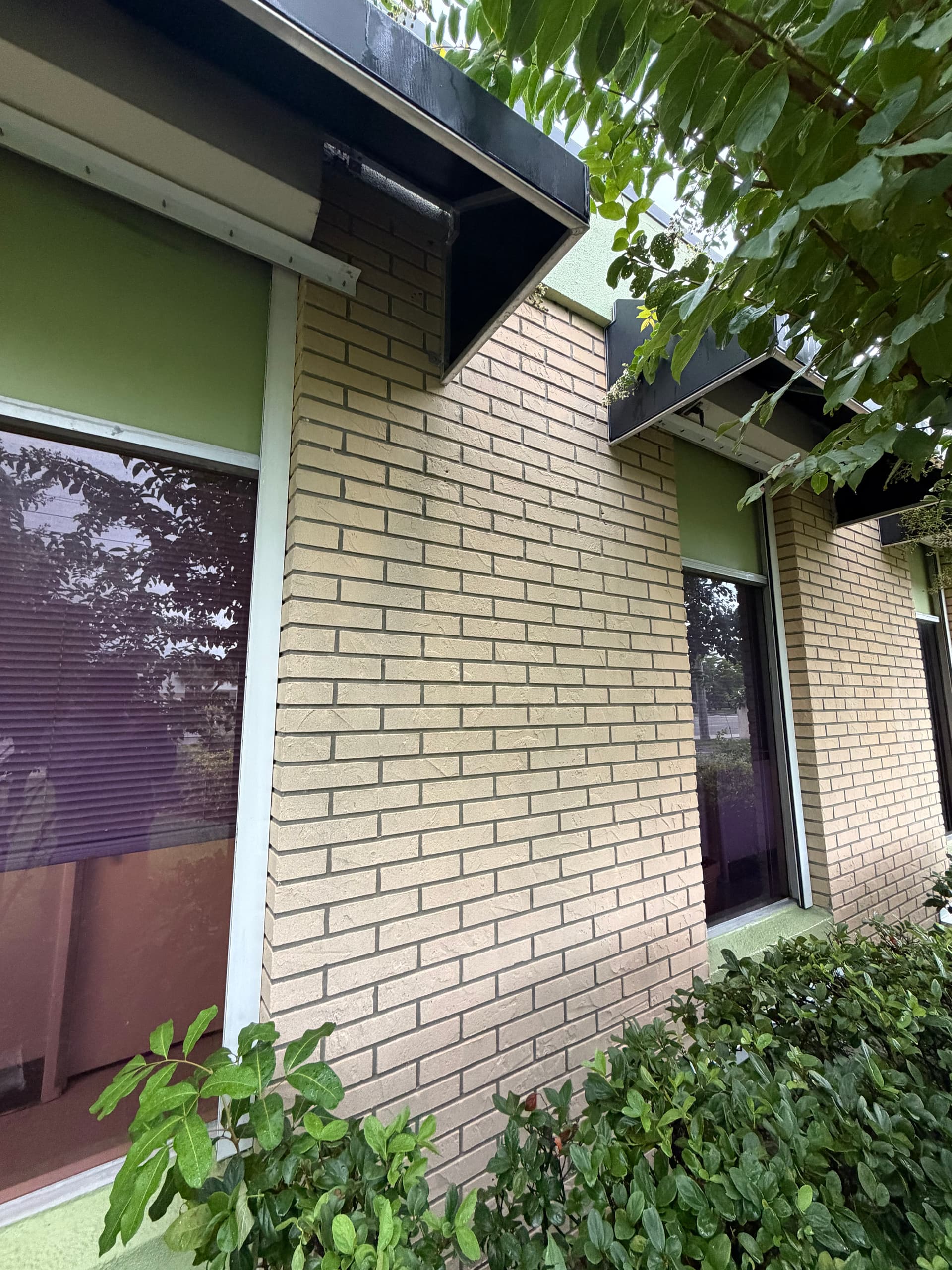 Gallery photos for Florida Algae on Commercial Brick - Soft Wash Gets It Out: Image #1
