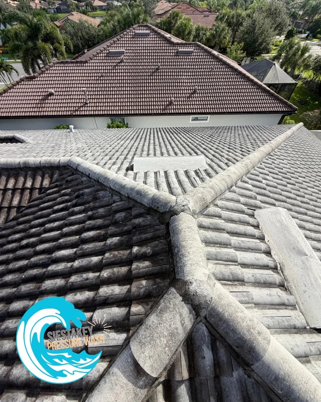 Gallery photos for Soft Wash Roof Cleaning Wipes Out Black Streaks in Sarasota: Image #2