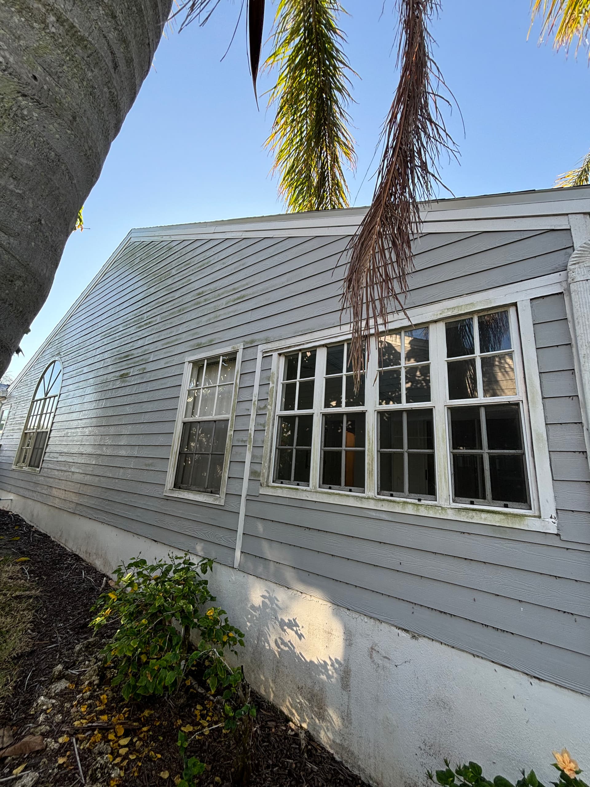 Say Goodbye to Algae Build-Up with Our Expert Pressure Washing image