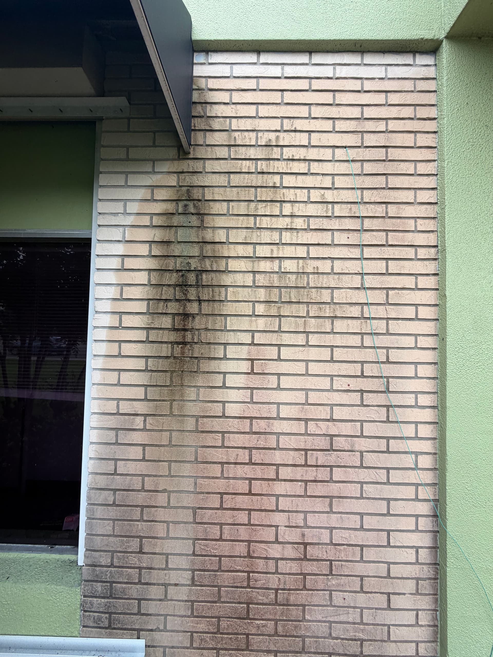 Gallery photos for Florida Algae on Commercial Brick - Soft Wash Gets It Out: Image #2