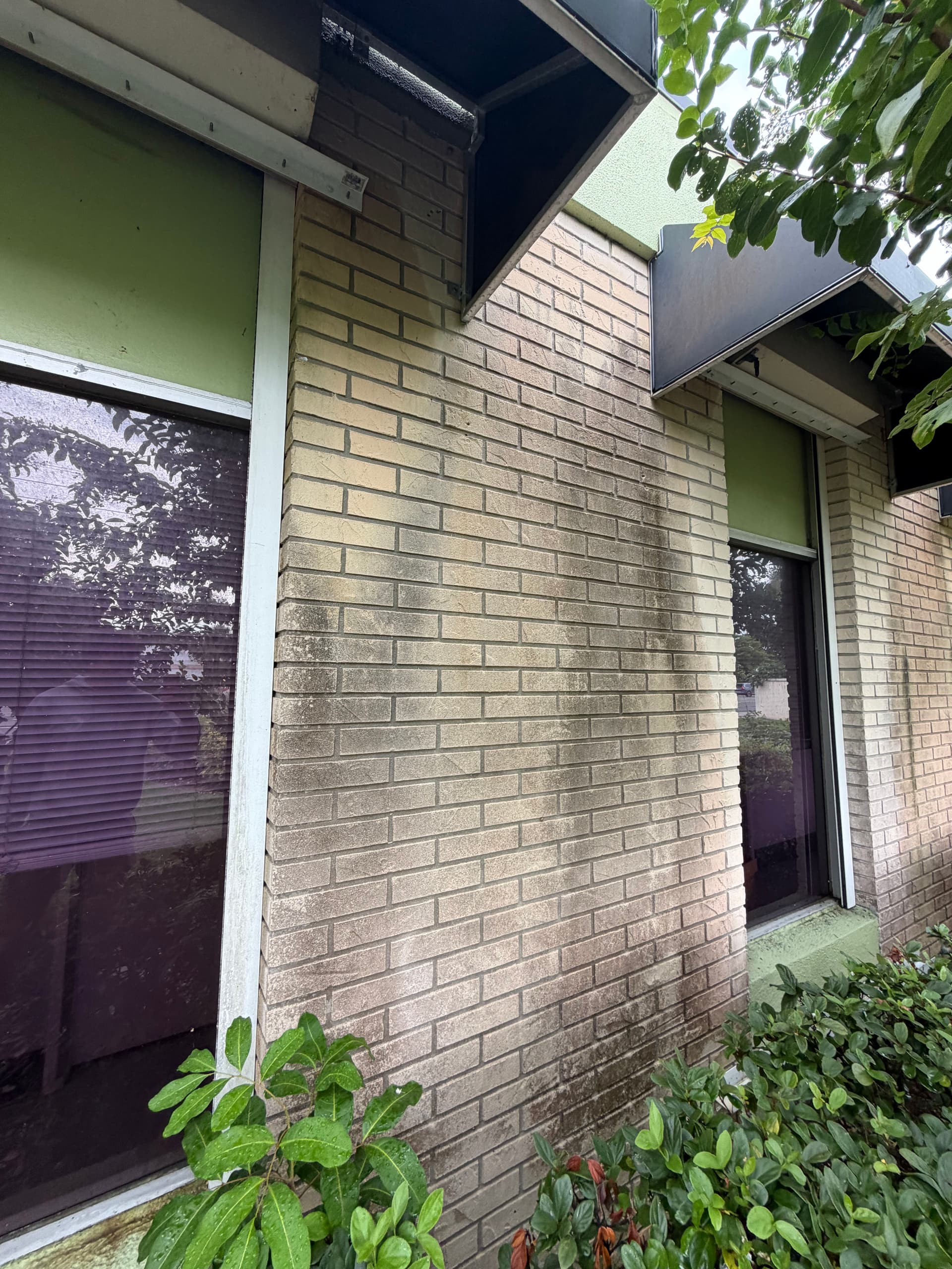 Florida Algae on Commercial Brick - Soft Wash Gets It Out image