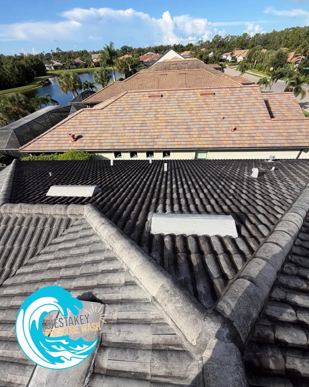 Soft Wash Roof Cleaning Wipes Out Black Streaks in Sarasota image