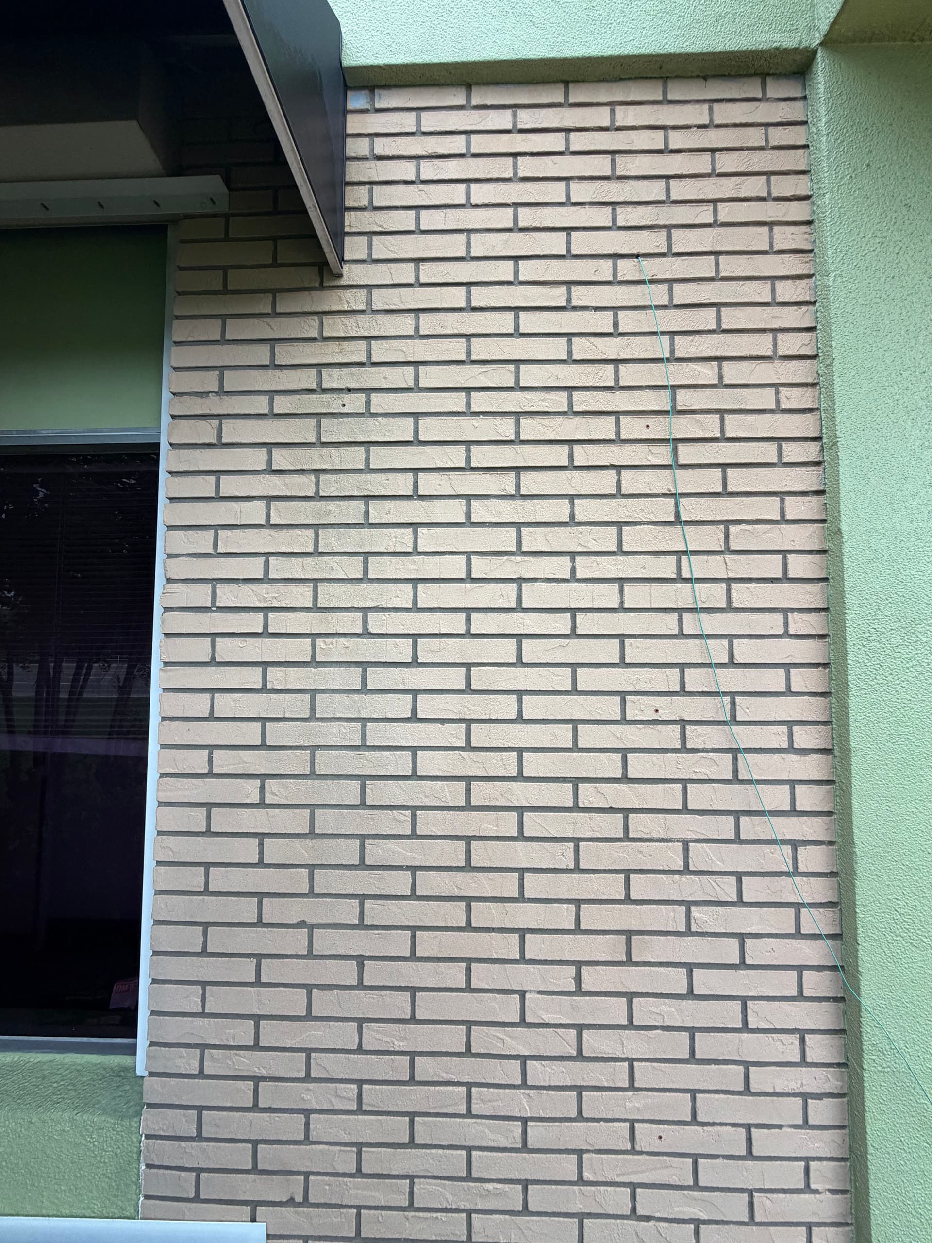 Gallery photos for Florida Algae on Commercial Brick - Soft Wash Gets It Out: Image #3