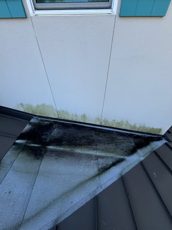 Gallery photos for Sparkling Clean Property Transformation: Image #2